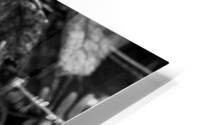 Leaf Trio HD Metal print