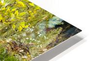 Broken Tree HD Metal print