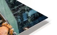 Boarsnest HD Metal print