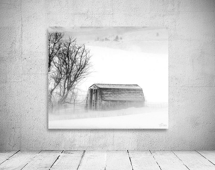 Winter Day Wall Preview