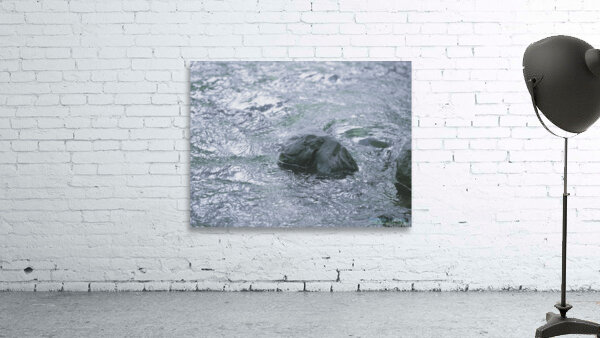 Like a Rock Wall Preview