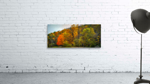 State Park Fall Colors Wall Preview