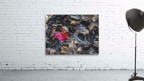Red Leaf Ground Level Wall Preview