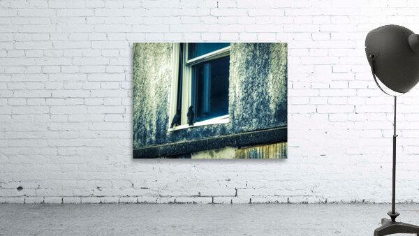 Black Bird Reflections Wall Preview