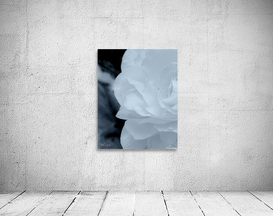 Blue Begonia Wall Preview