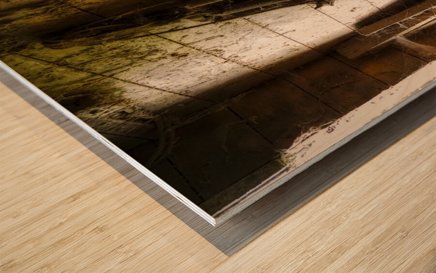 Webs and Parts Wood print