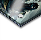 Majestic Black Beauty Acrylic print