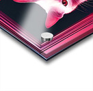 cat in door Acrylic print