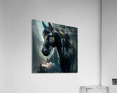 Majestic Black Beauty Acrylic Print