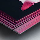 cat in door Metal print