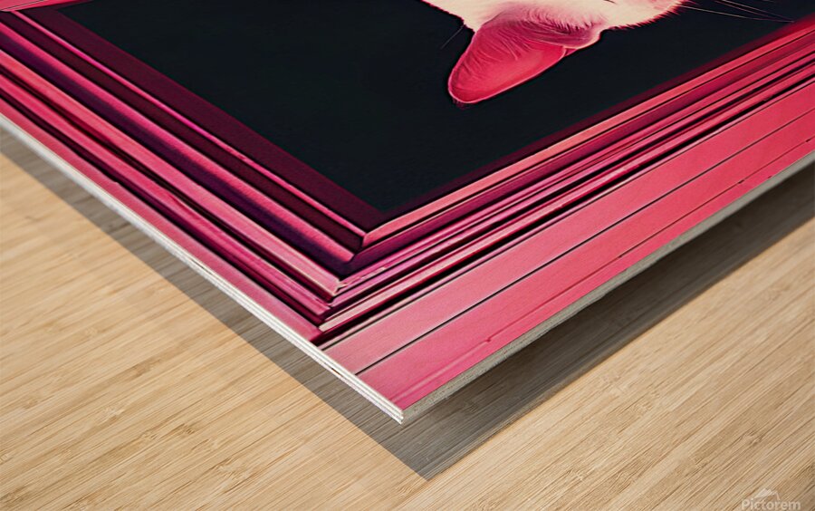 cat in door Wood print