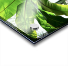 Green Shade Acrylic print