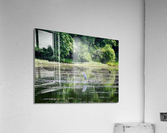Peeping Tom Acrylic Print