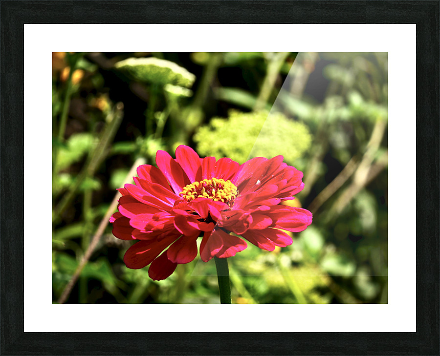 Contrast Picture Frame print