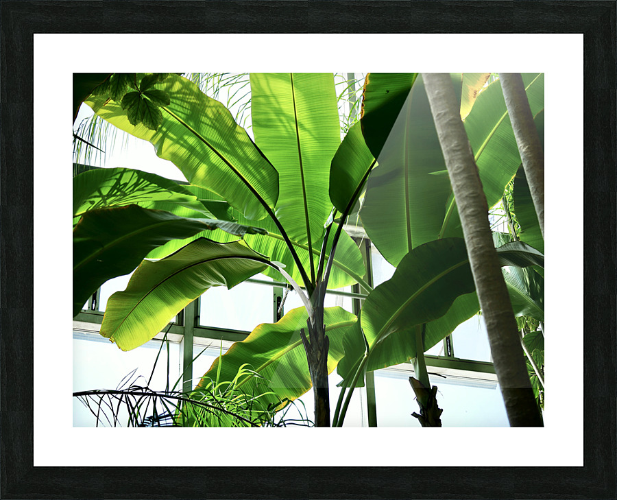 Green Shade Picture Frame print