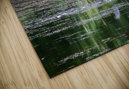 Peeping Tom S E Koenig puzzle