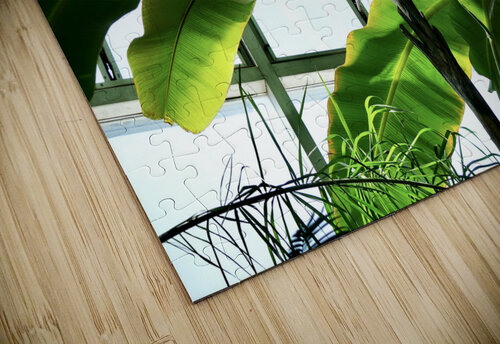 Green Shade S E Koenig puzzle