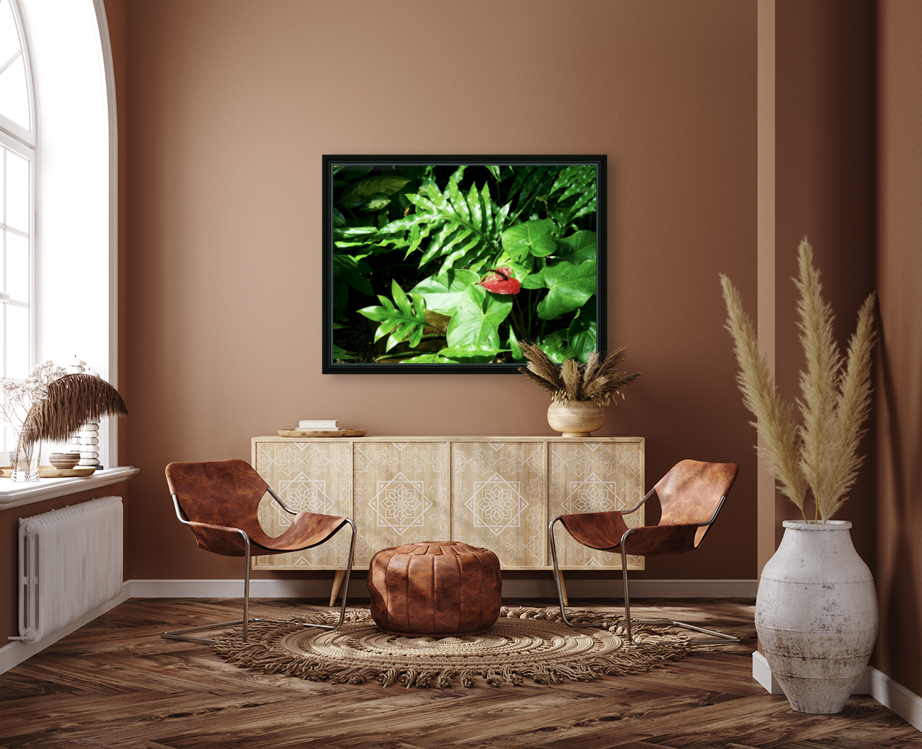 Anthurium Reproduction