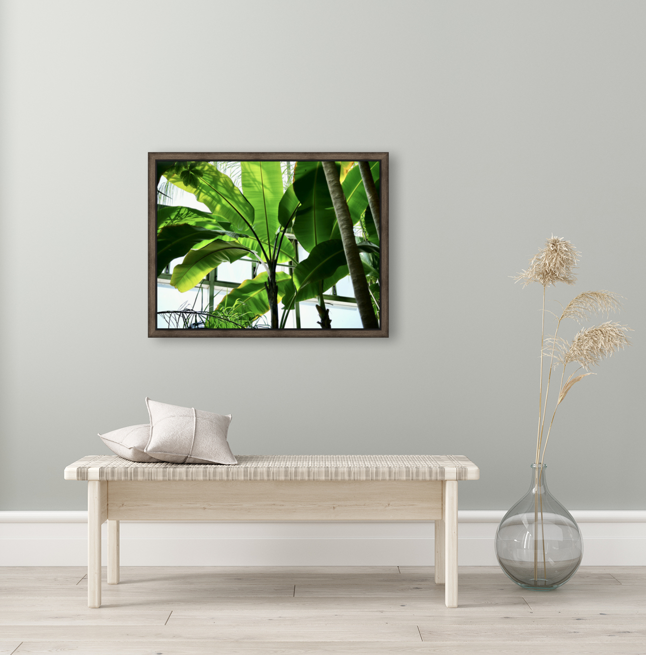 Green Shade Reproduction