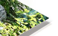 Shaded Waterfall HD Metal print