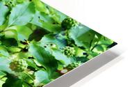 Candy Colors HD Metal print