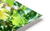 Farm Flowers HD Metal print