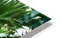 In the Conservatory HD Metal print