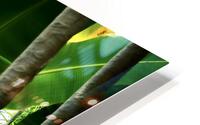 Green Shade HD Metal print