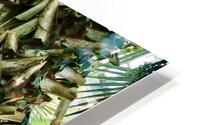 Tropical Textures HD Metal print