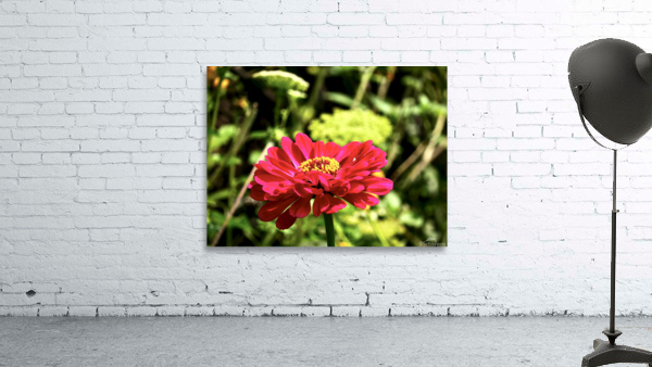 Contrast Wall Preview