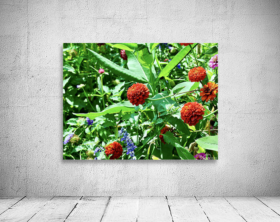 Red and Blue Wall Preview
