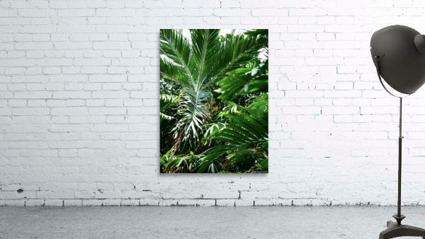 In the Conservatory Wall Preview