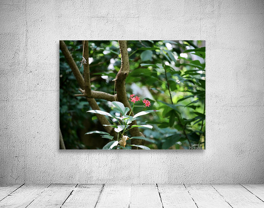 Jungle Belle Wall Preview