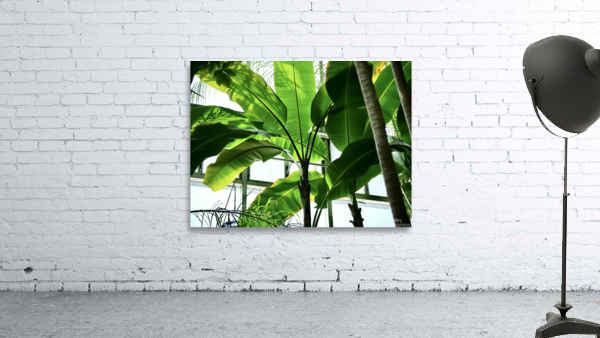 Green Shade Wall Preview