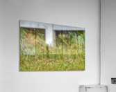 Tall Grass Impression acrylique