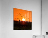 Birds in Flight Acrylic Print
