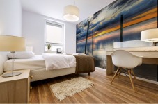 Captiva Collection - 03 Mural print