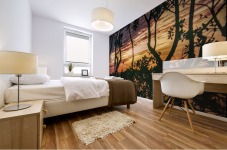 Sunset Collection - 03 Mural print