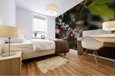 Nature - 10 Mural print
