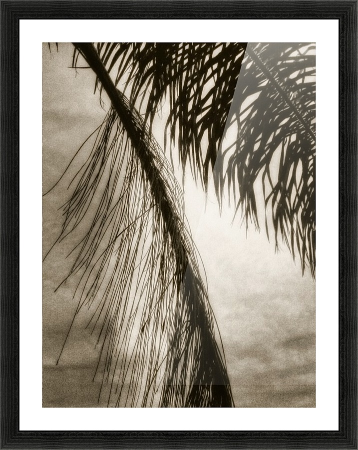 Nature - 12 Picture Frame print