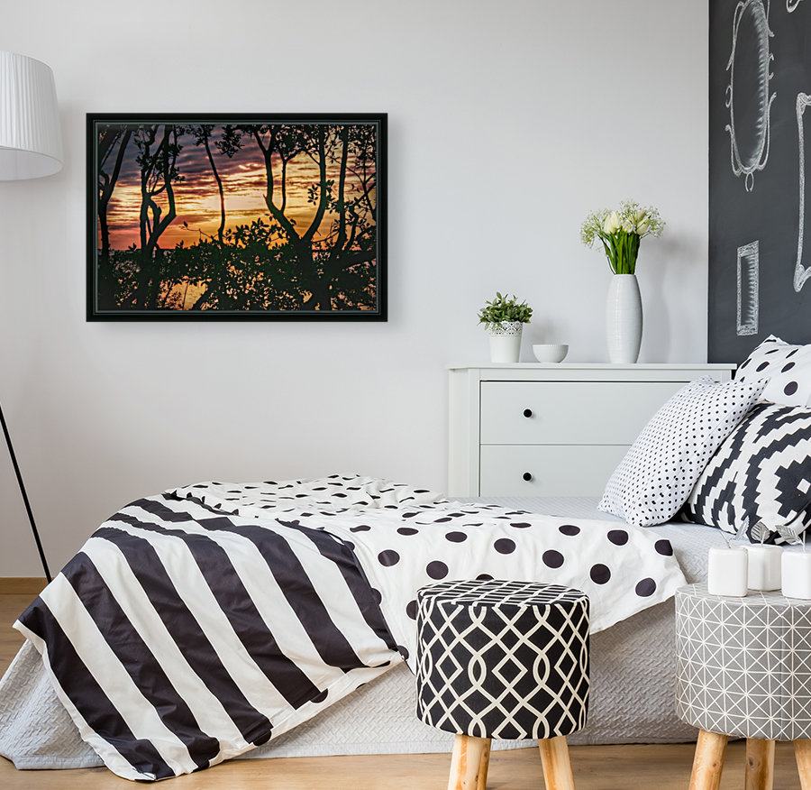 Sunset Collection - 03 Reproduction