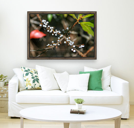 Nature - 10 Reproduction