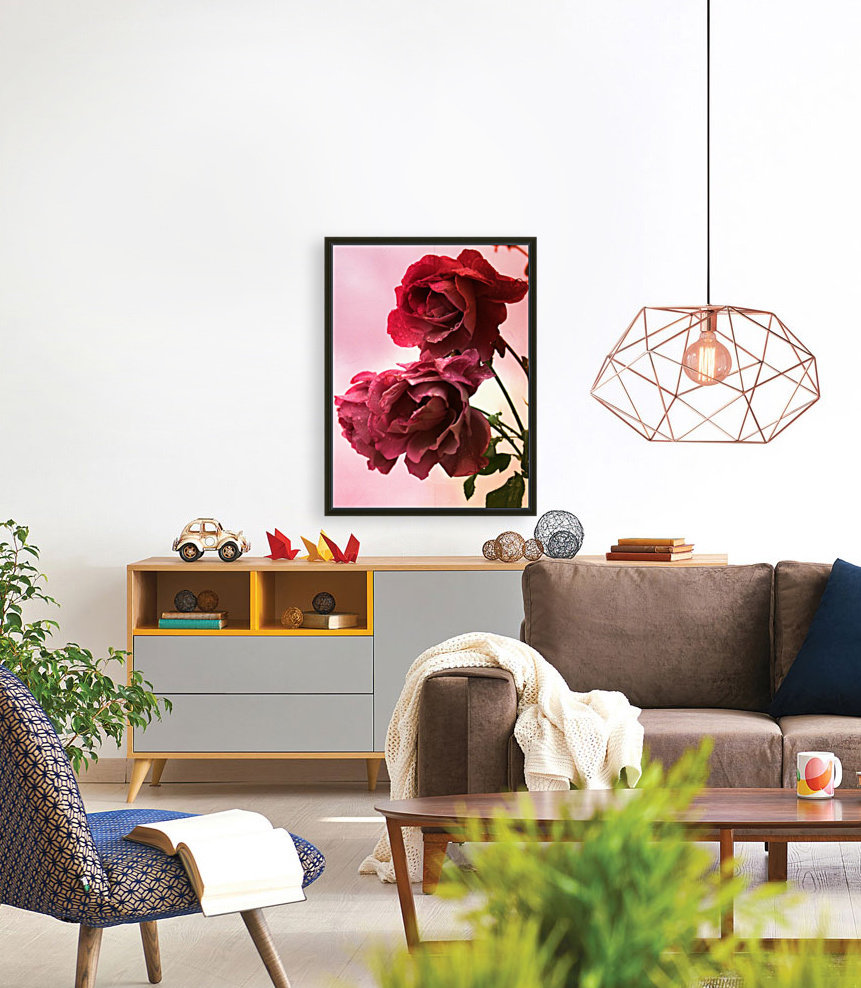Rose Collection - 05 Reproduction