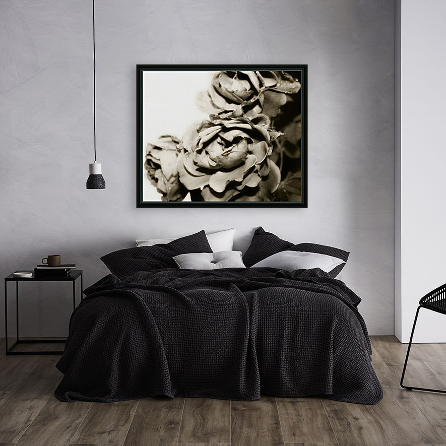 Rose Collection - 06 Reproduction