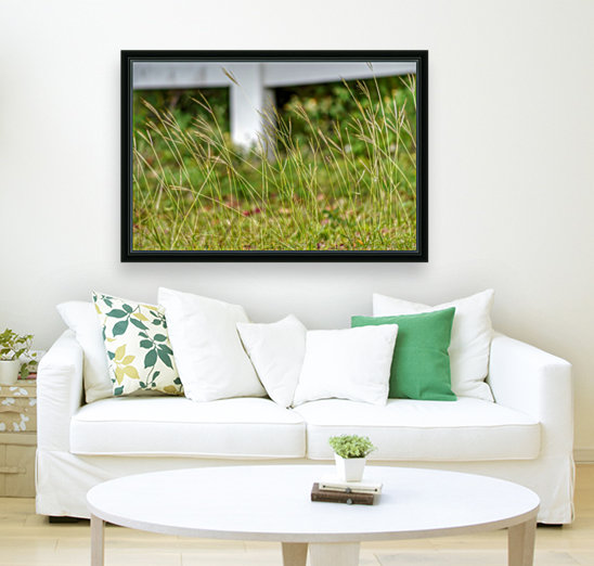 Tall Grass Reproduction