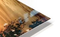 Serenity Collection - 01 HD Metal print