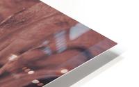 Rose Collection - 01 HD Metal print