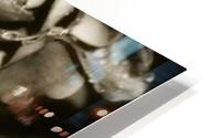 Rose Collection - 06 HD Metal print