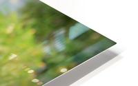 Nature - 02 HD Metal print