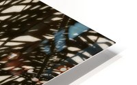 Nature - 12 HD Metal print